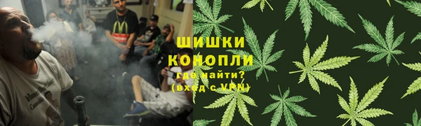 спайс Алексин
